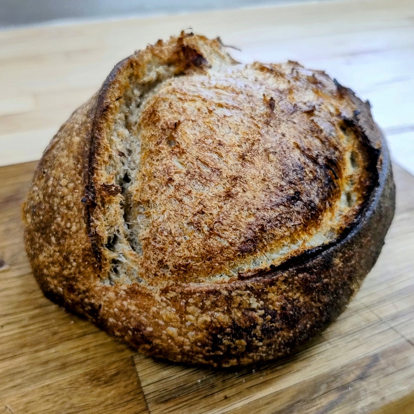 Malted 50/50 Loaf