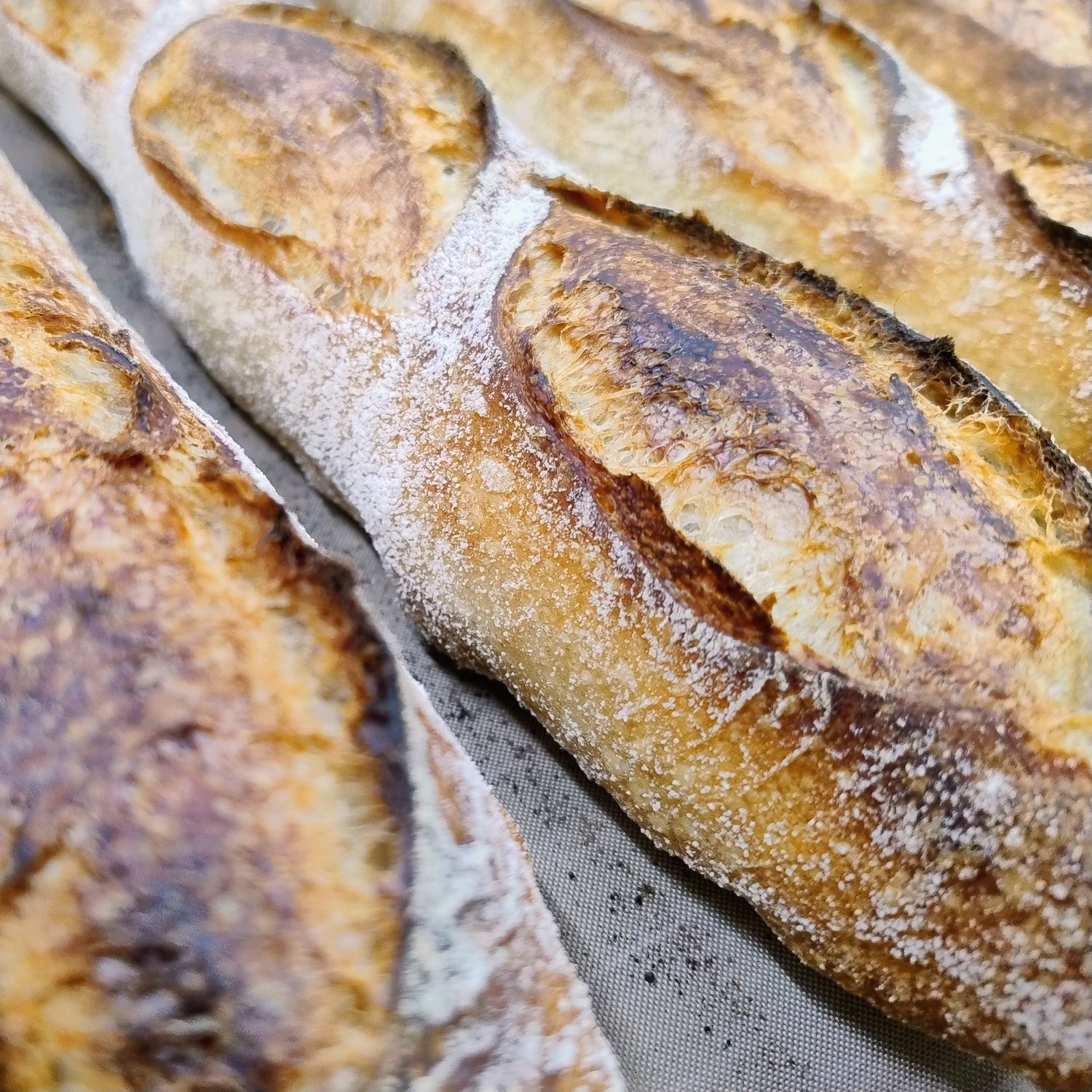 ₃ Friday Menu (Pickup & Local Delivery)