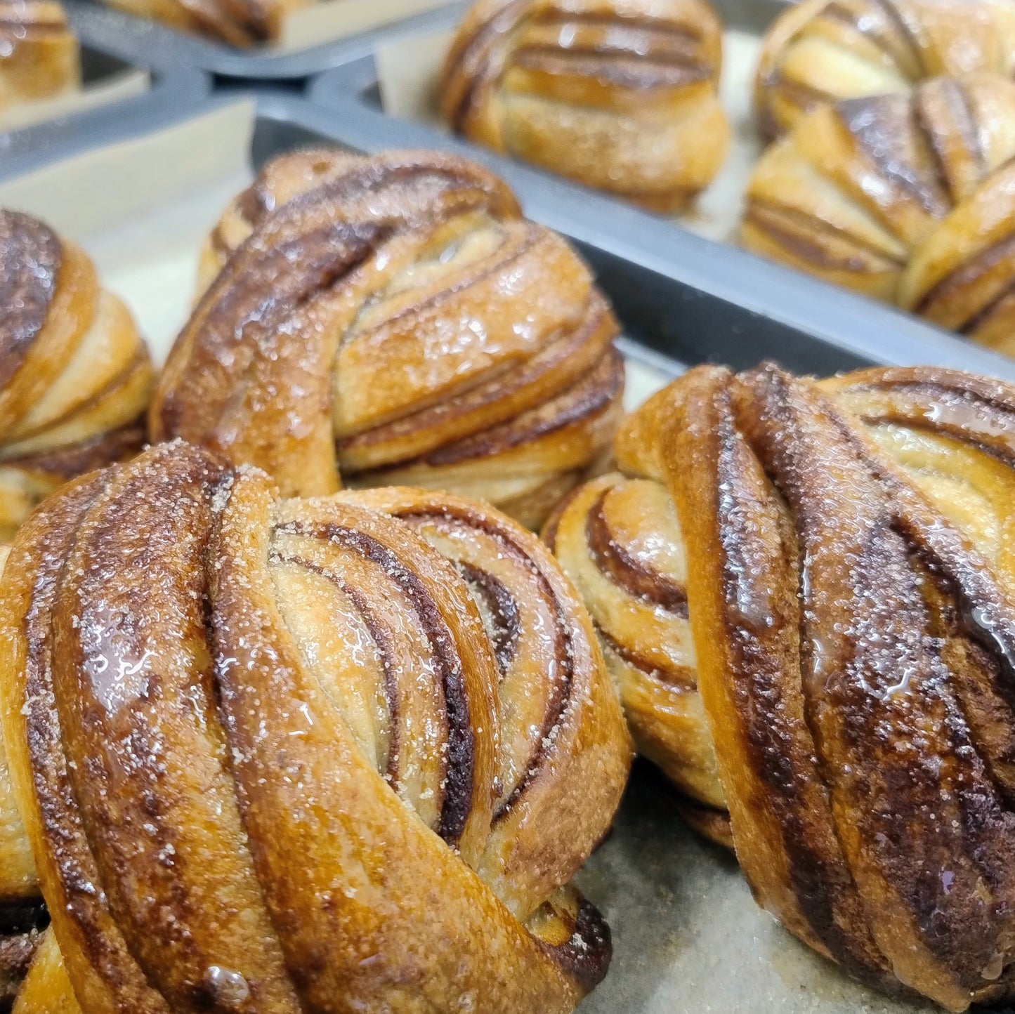 Cinnamon Bun